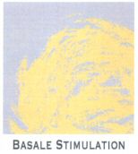 BASALE STIMULATION