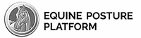 EQUINE POSTURE PLATFORM