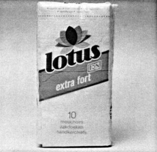 lotus