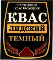  Nastoyashchiy kvas brozheniya, lidskiy, tyomny 