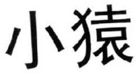 XIAO YUAN