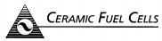 CERAMIC FUEL CELLS