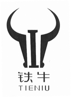 TIENIU