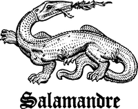 Salamandre
