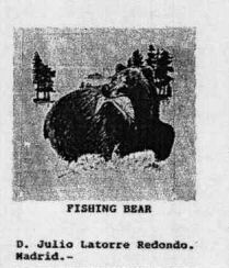 FISHING BEAR