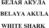 BELAYA AKULA WHITE SHARK
