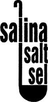 Salina salt sel