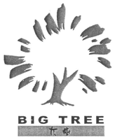 BIG TREE