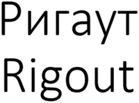 Rigout