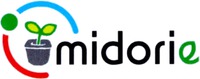 midorie