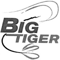 BIG TIGER