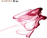 SARIZA 2001