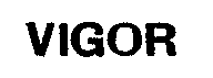 VIGOR
