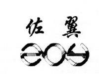 ZUO YI