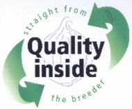 Quality inside straight from the breeder