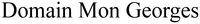 Domain Mon Georges