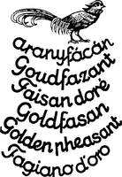 aranyfácán