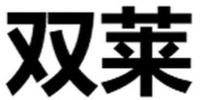 Shuang Lai