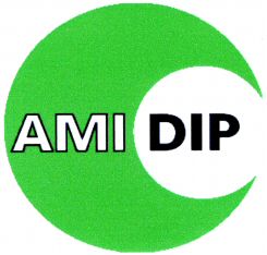 AMI DIP
