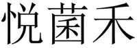 YUE JUN HE