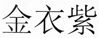 JIN YI ZI
