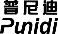 Punidi