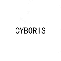 CYBORIS