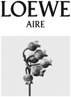 LOEWE AIRE