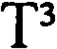 T³