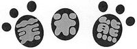 The non-Latin characters in the mark transliterate to 