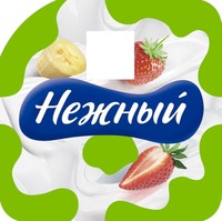 Nezhnyi