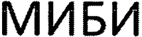  MIBI 