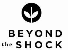BEYOND the SHOCK