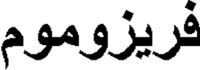  FRISOMUM 