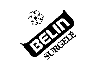 BELIN SURGELÉ