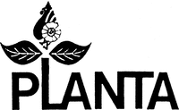 PLANTA