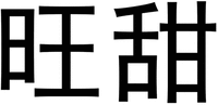  WANG TIAN 