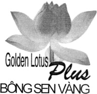Golden Lotus Plus BÔNG SEN VÀNG