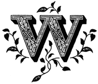 W
