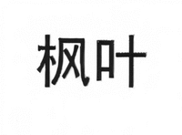  FENG YE 