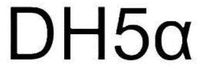 DH5α