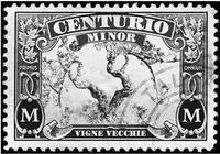 CENTURIO MINOR PRIMUS OMNIUM MM VIGNE VECCHIE