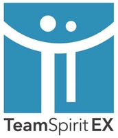 TT TeamSpirit EX