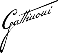 Gattinoni