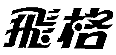FEI GE.