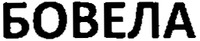  BOVELA 