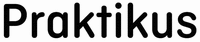 Praktikus