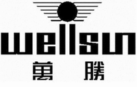 wellsun