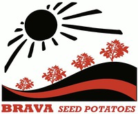 BRAVA SEED POTATOES