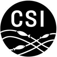 CSI